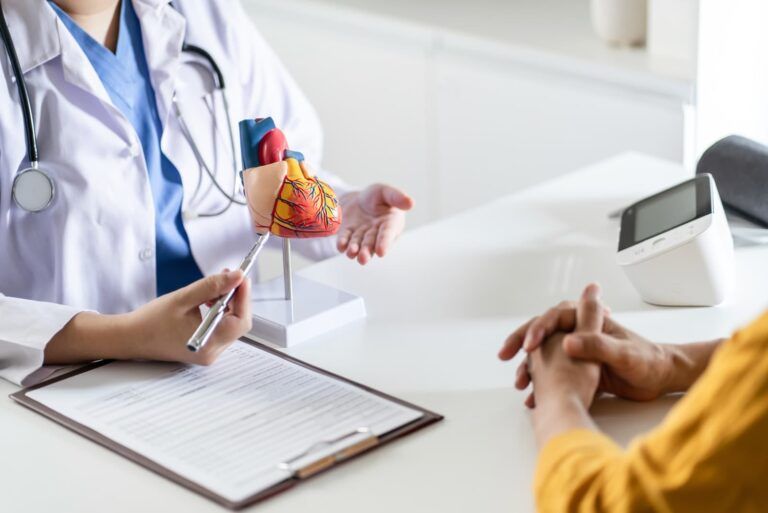 Modele anatomiczne układu szkieletowego do nauki dla nauczycieli anatomii i innych specjalistów