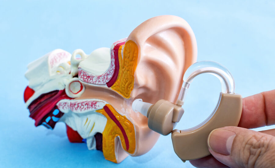 Modele anatomiczne tarczycy i zaburzeń gospodarki węglowodanowej – kluczowe środki w kształceniu i diagnostyce lekarskiej