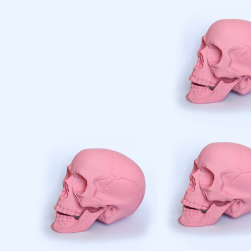 Modele anatomiczne w obrębie nowoczesnych metod kształcenia i praktyce medycznej